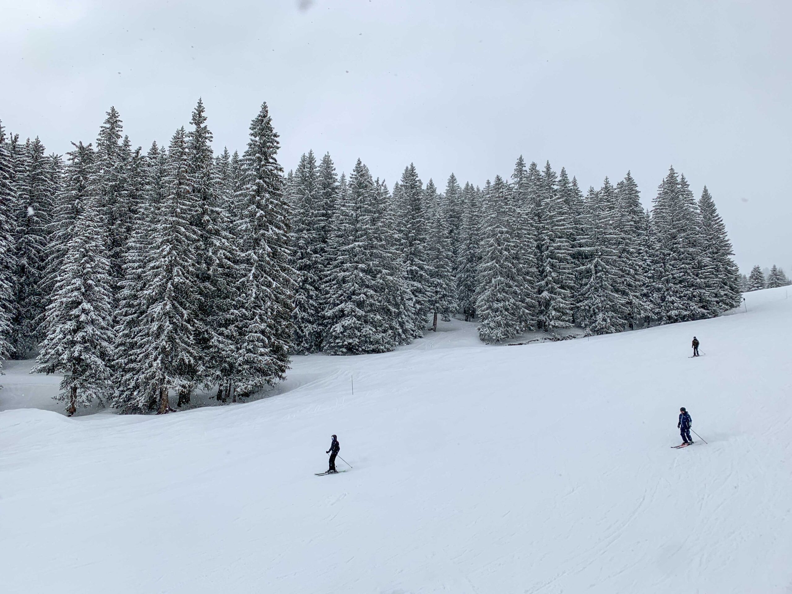 Skiing for beginners Skiing for beginners