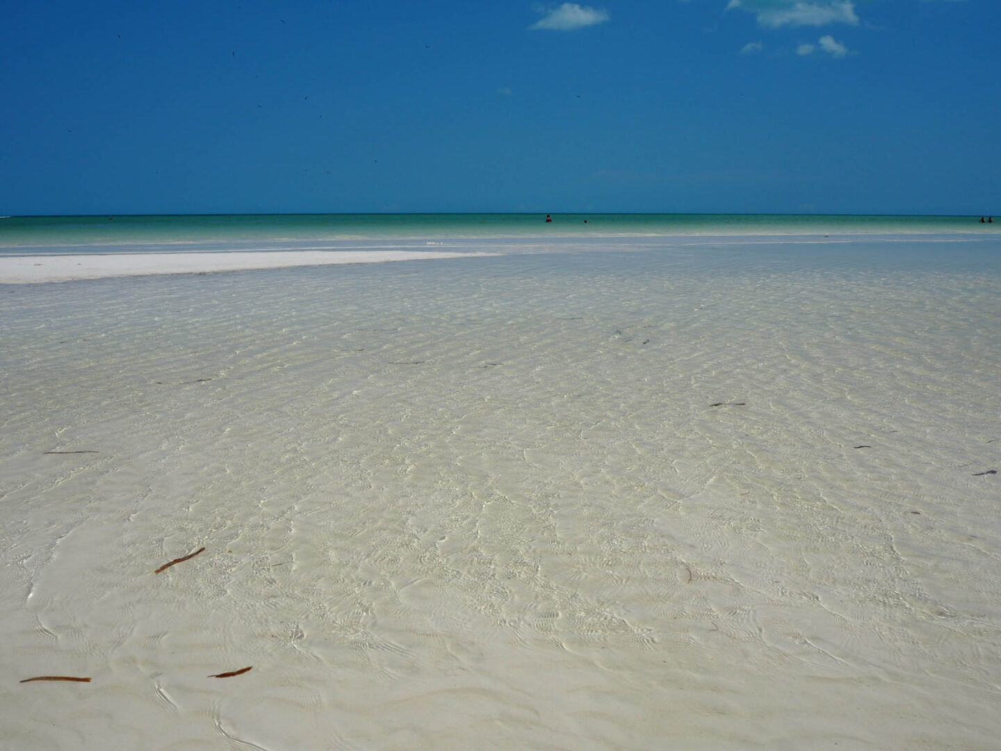Holbox Mexico beach turquoise water
