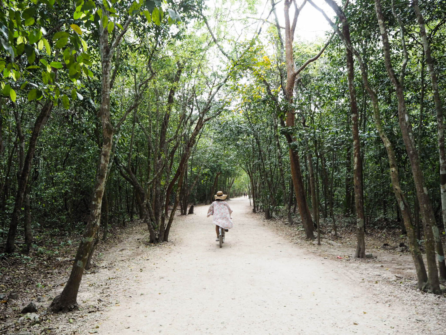 Tulum Mexico Coba bicycle ride