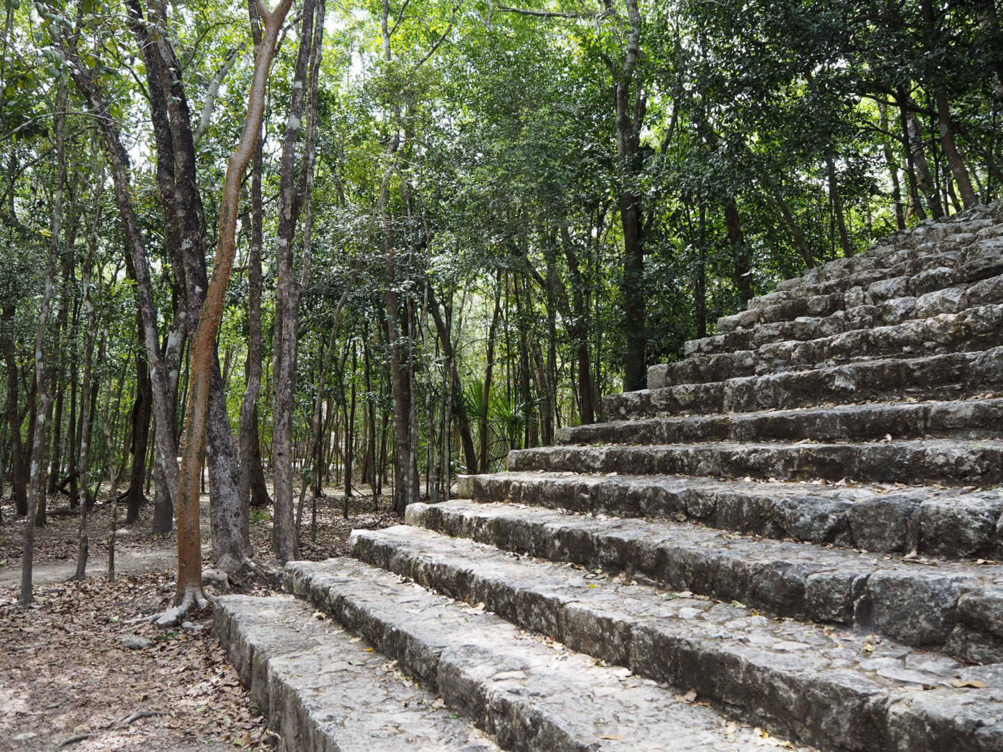 Tulum Mexico Coba ruins steps