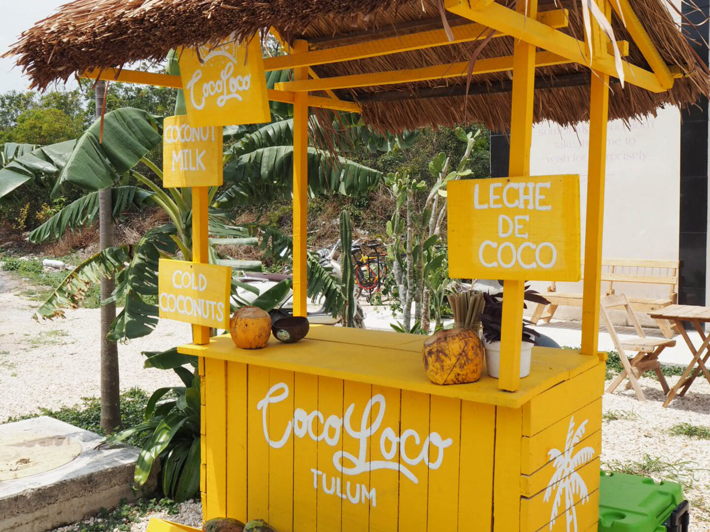 Tulum Mexico coconut water stand