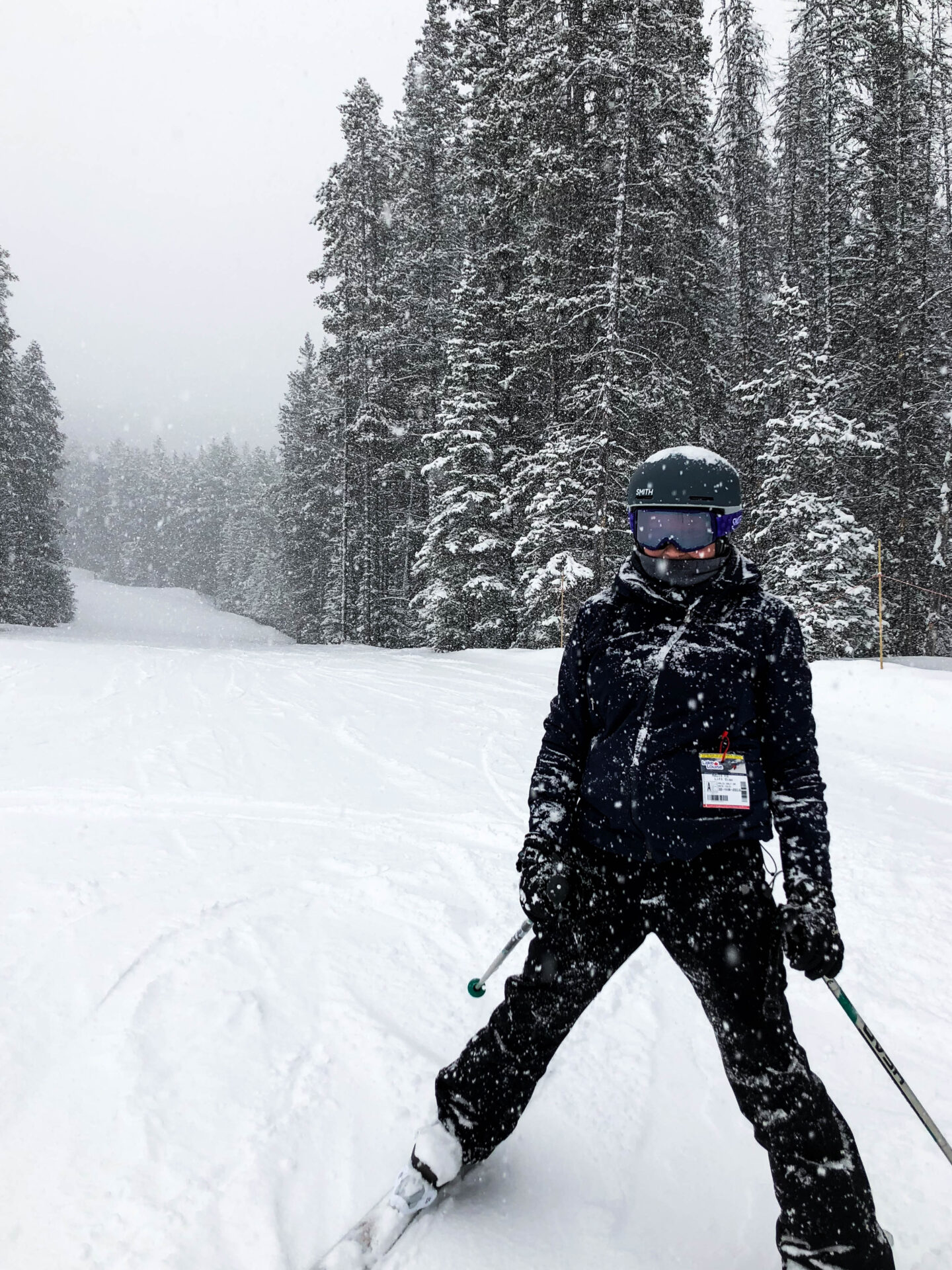 Lake Louise skier in snow storm