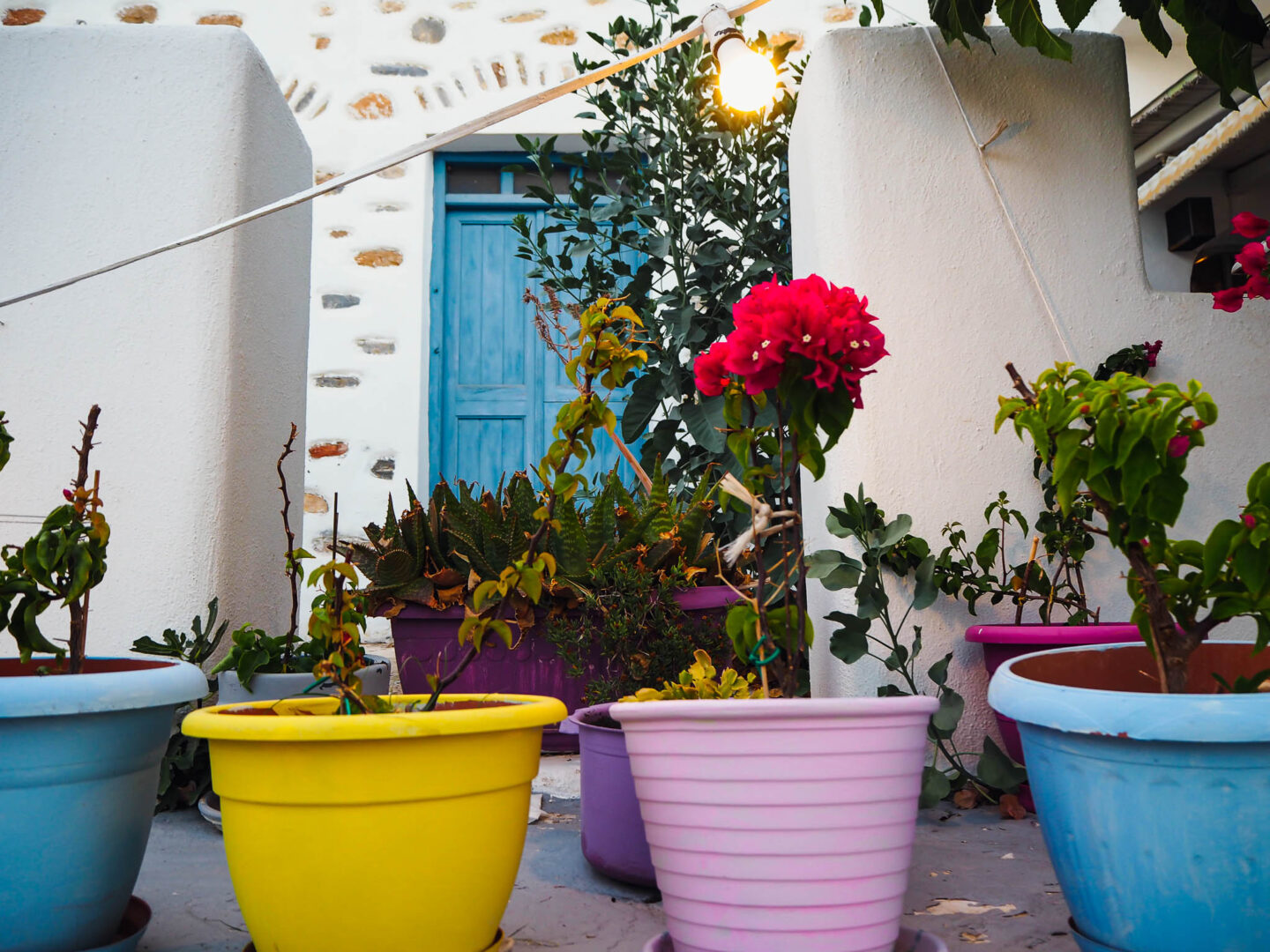 Koufonisia Greece flowerpots