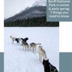 Banff National Park things to know Pinterest