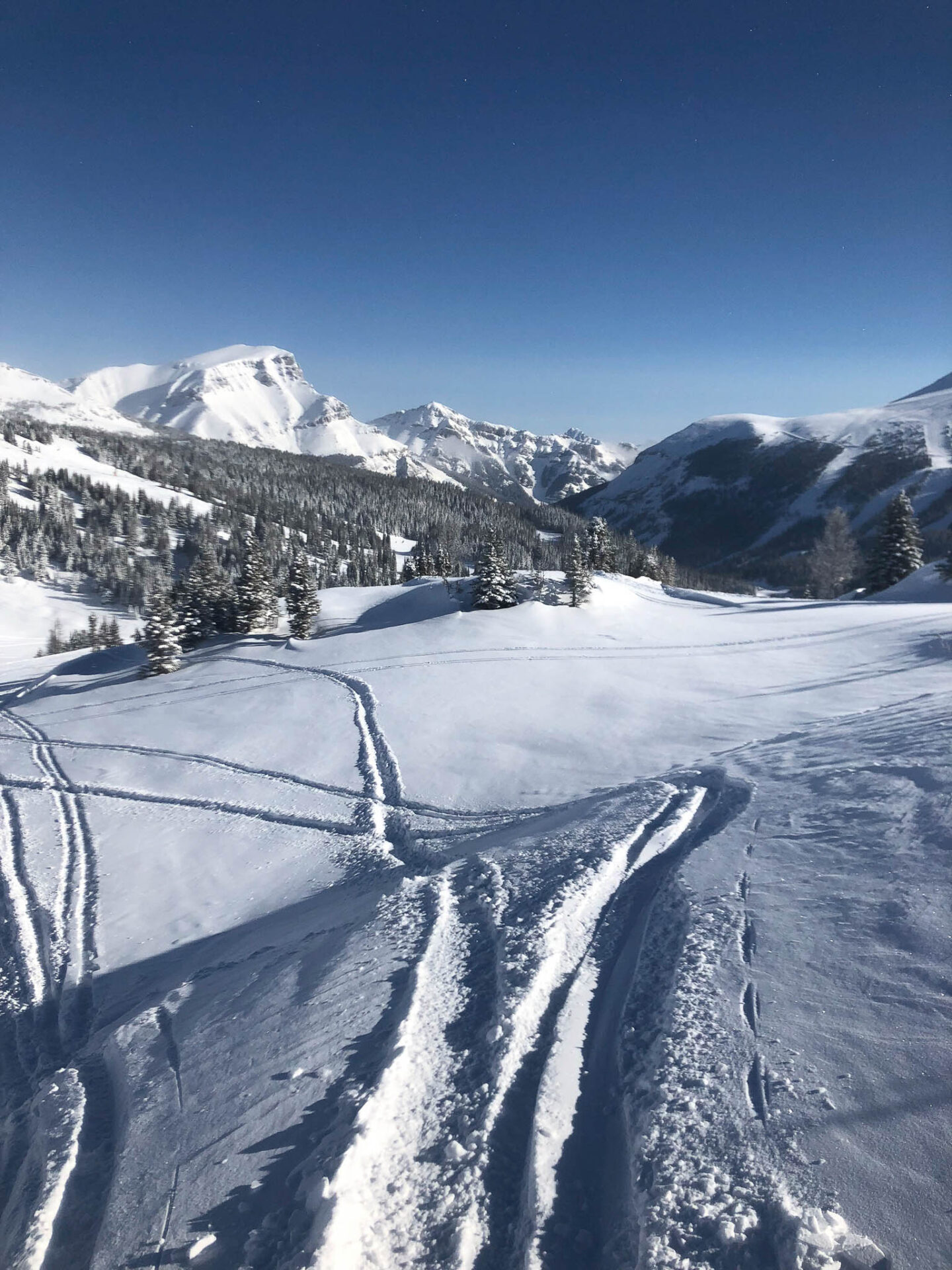 Banff Sunshine morning tracks