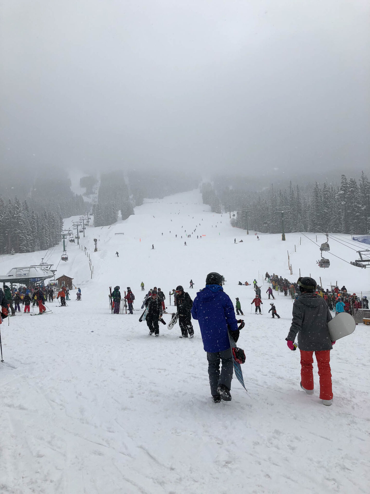 Lake Louise foggy trails