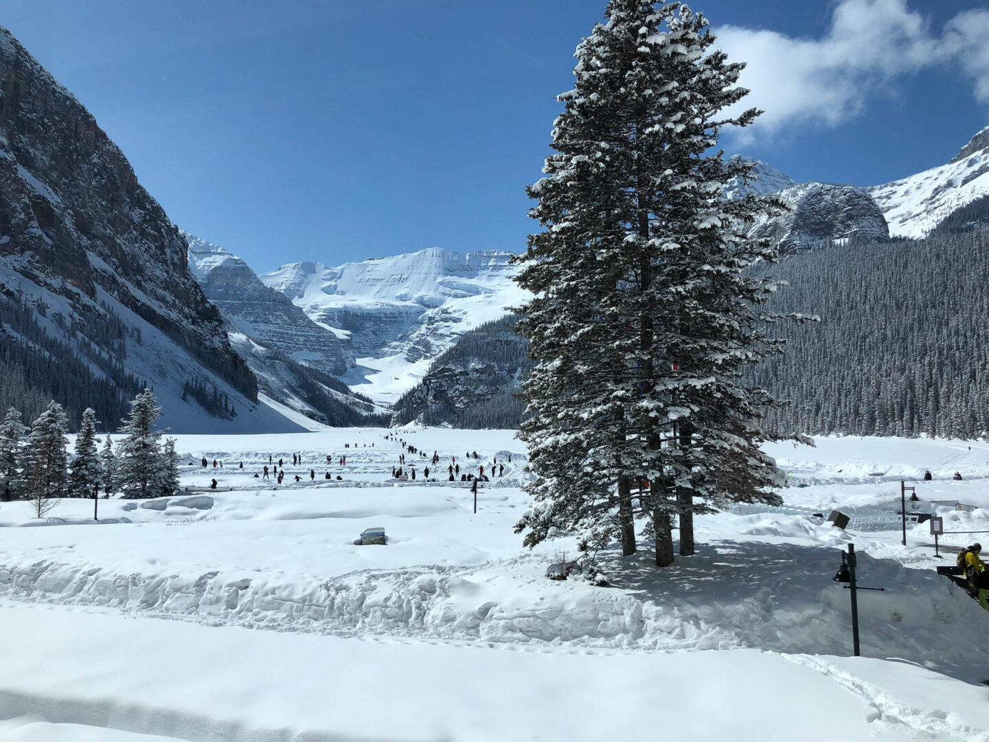 Lake Louise million dollar view