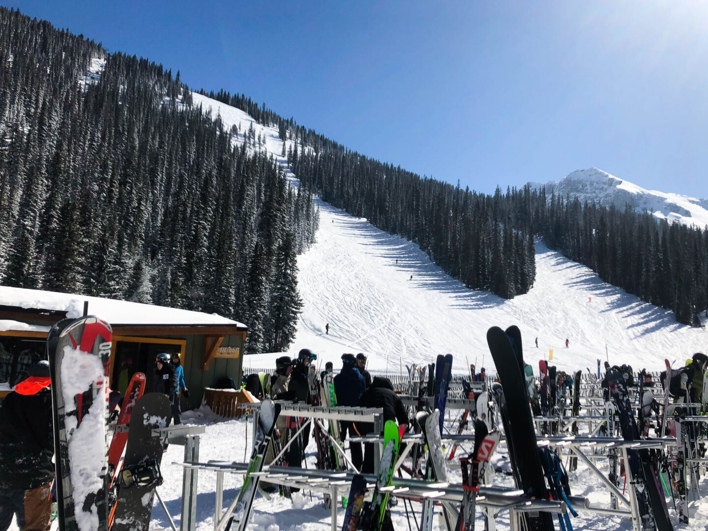 Sunshine Village slopes