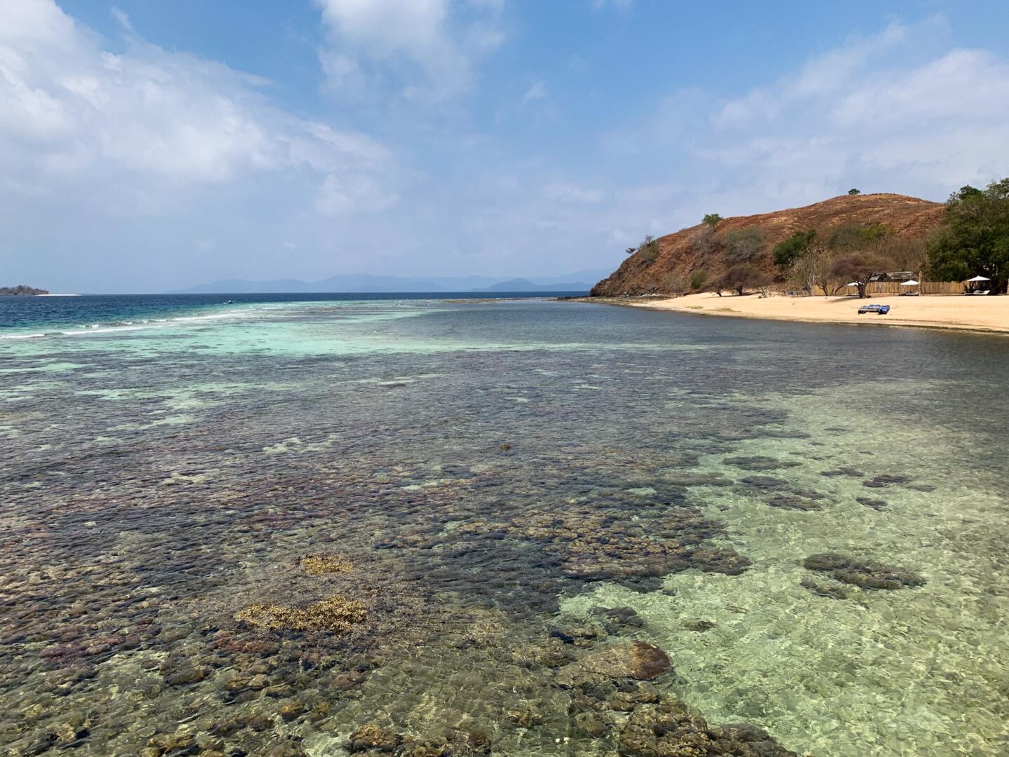 Flores Seraya coral reef