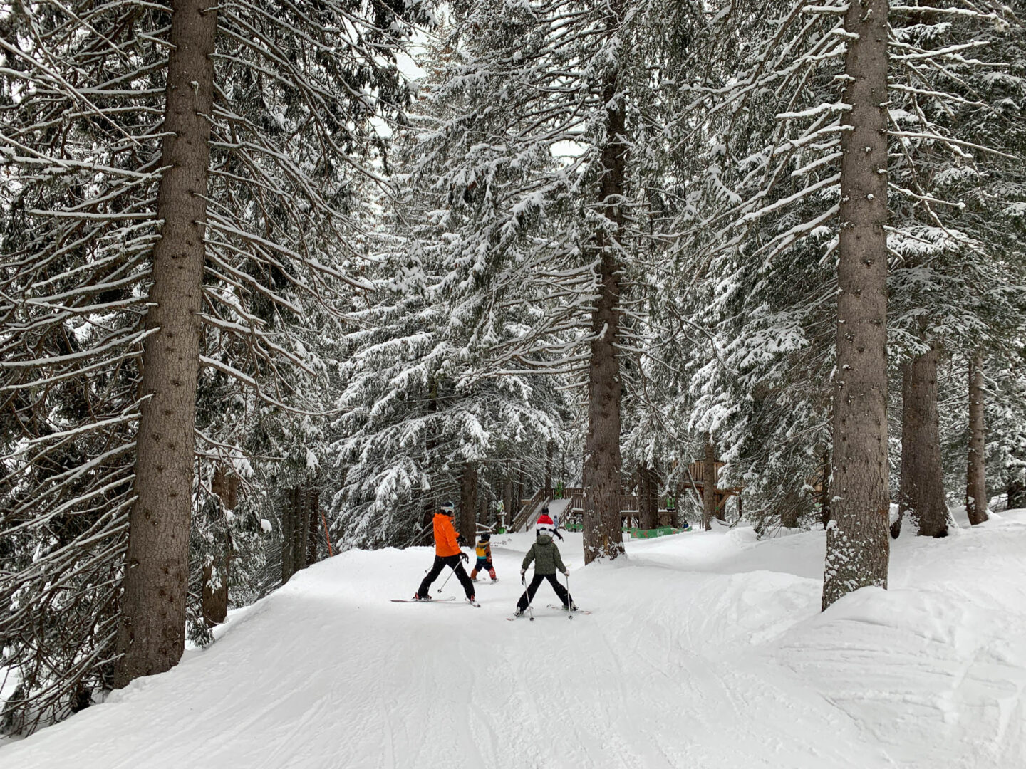 Avoriaz snowy forest