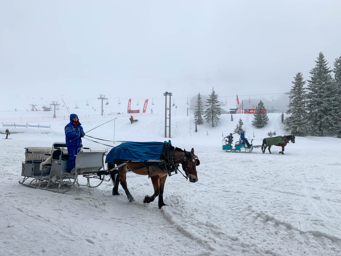 Avoriaz town horse carriage