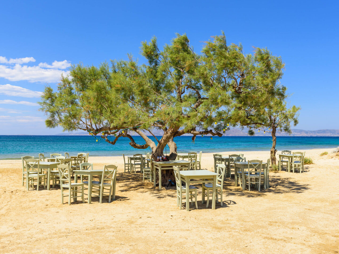 Naxos Plaka beach tree
