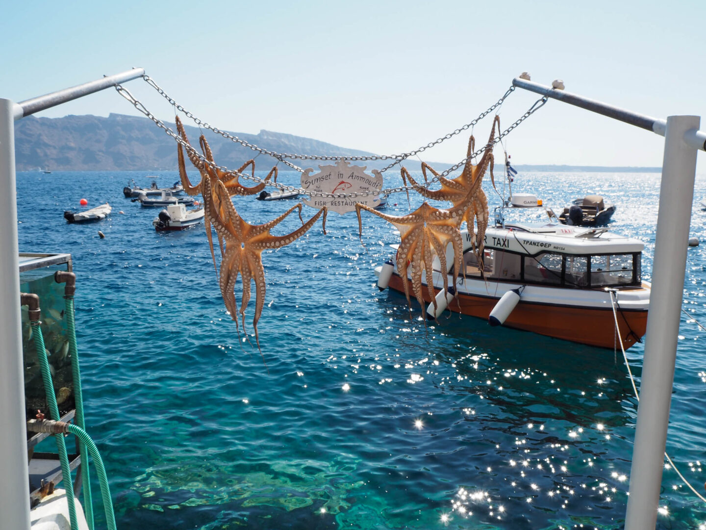 Santorini Ammoudi bay octopus