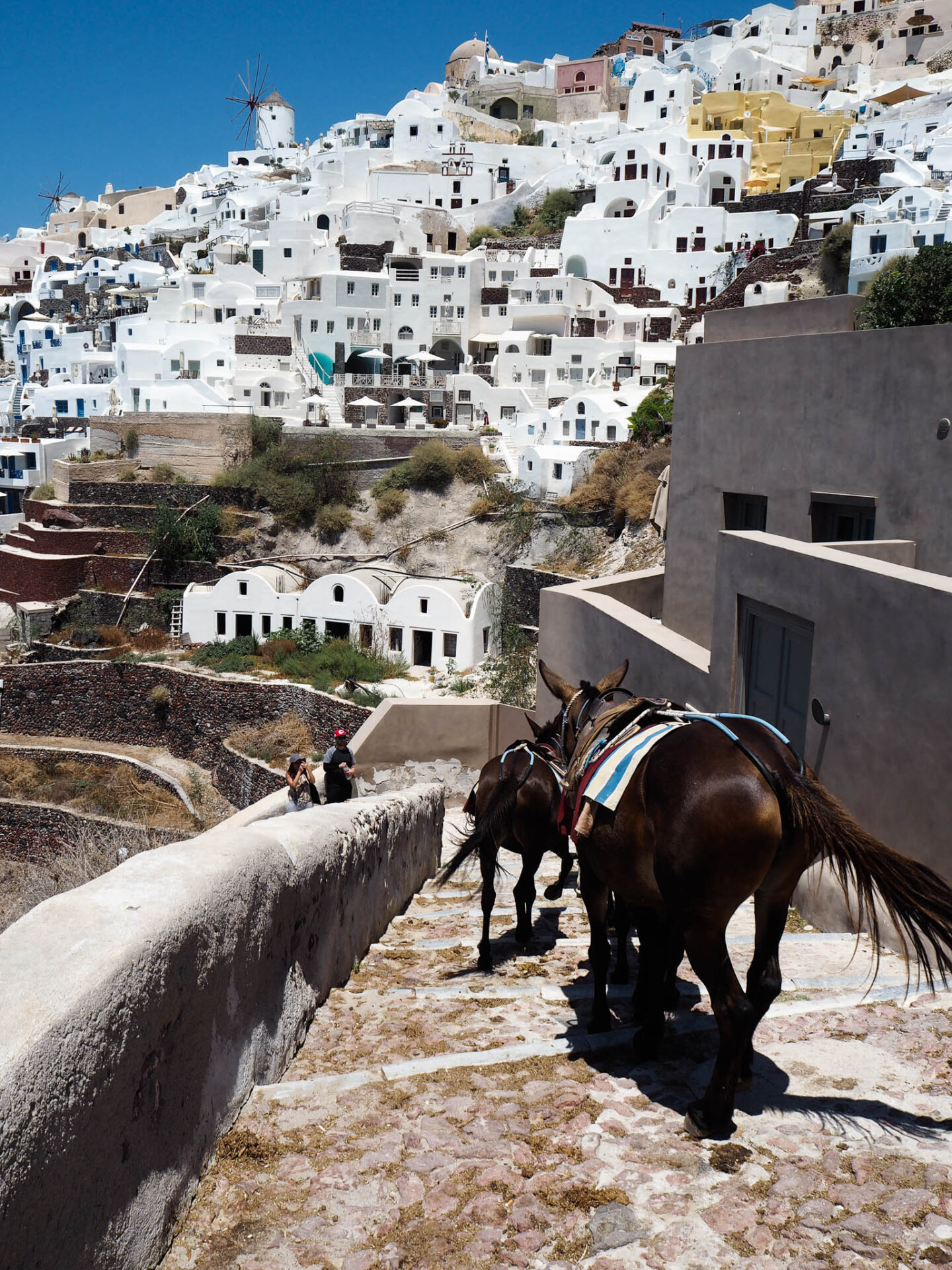 Santorini Ammoudi bay donkeys