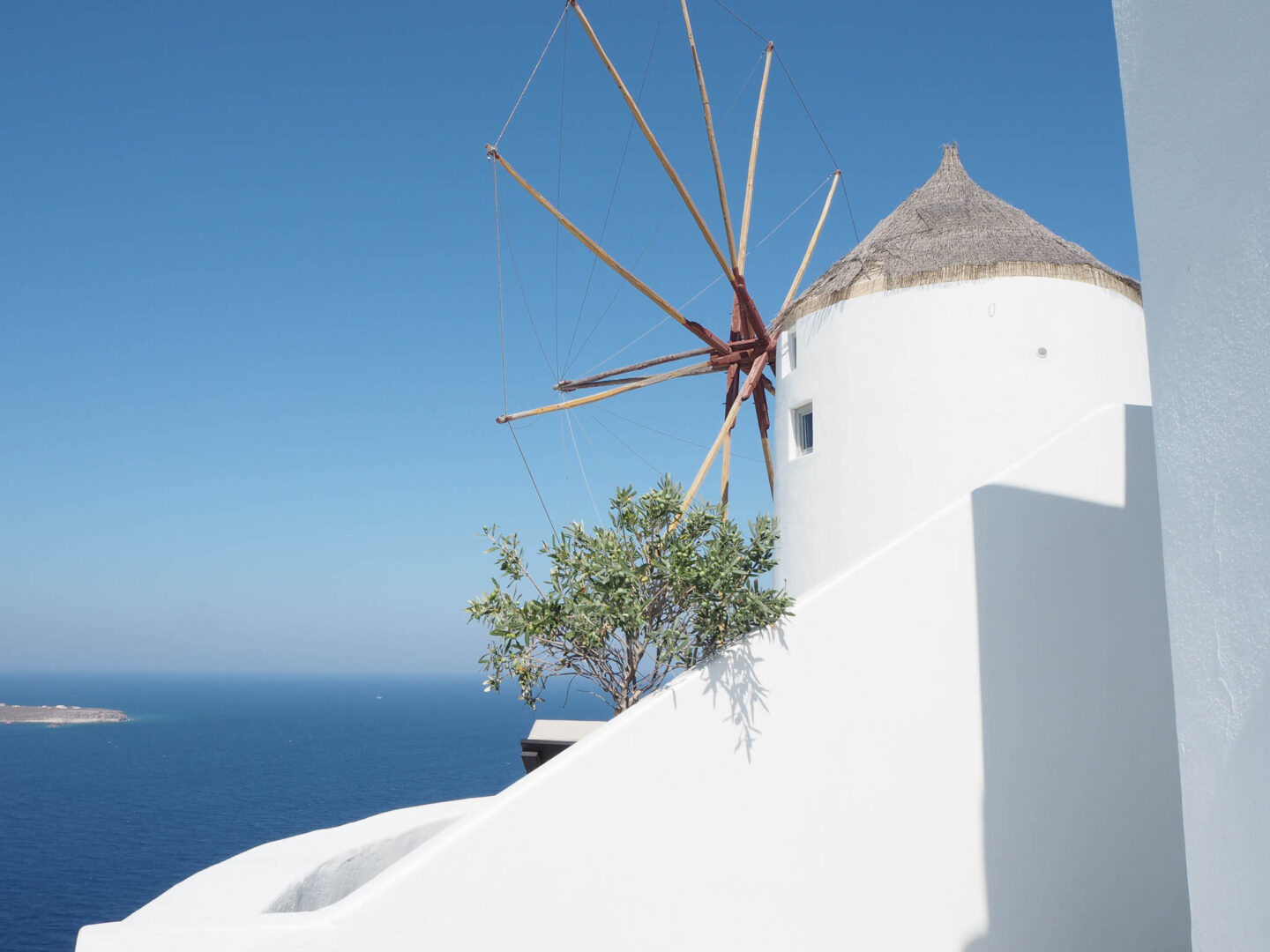 Santorini Oia windmill olive tree