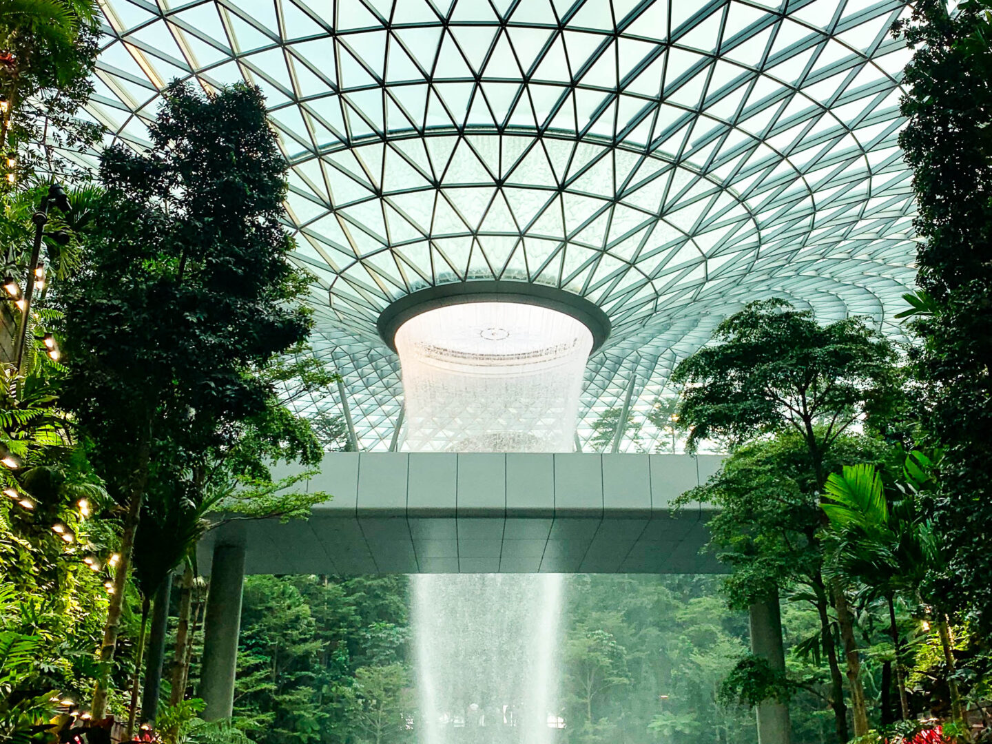 Singapore Changi waterfall & bridge