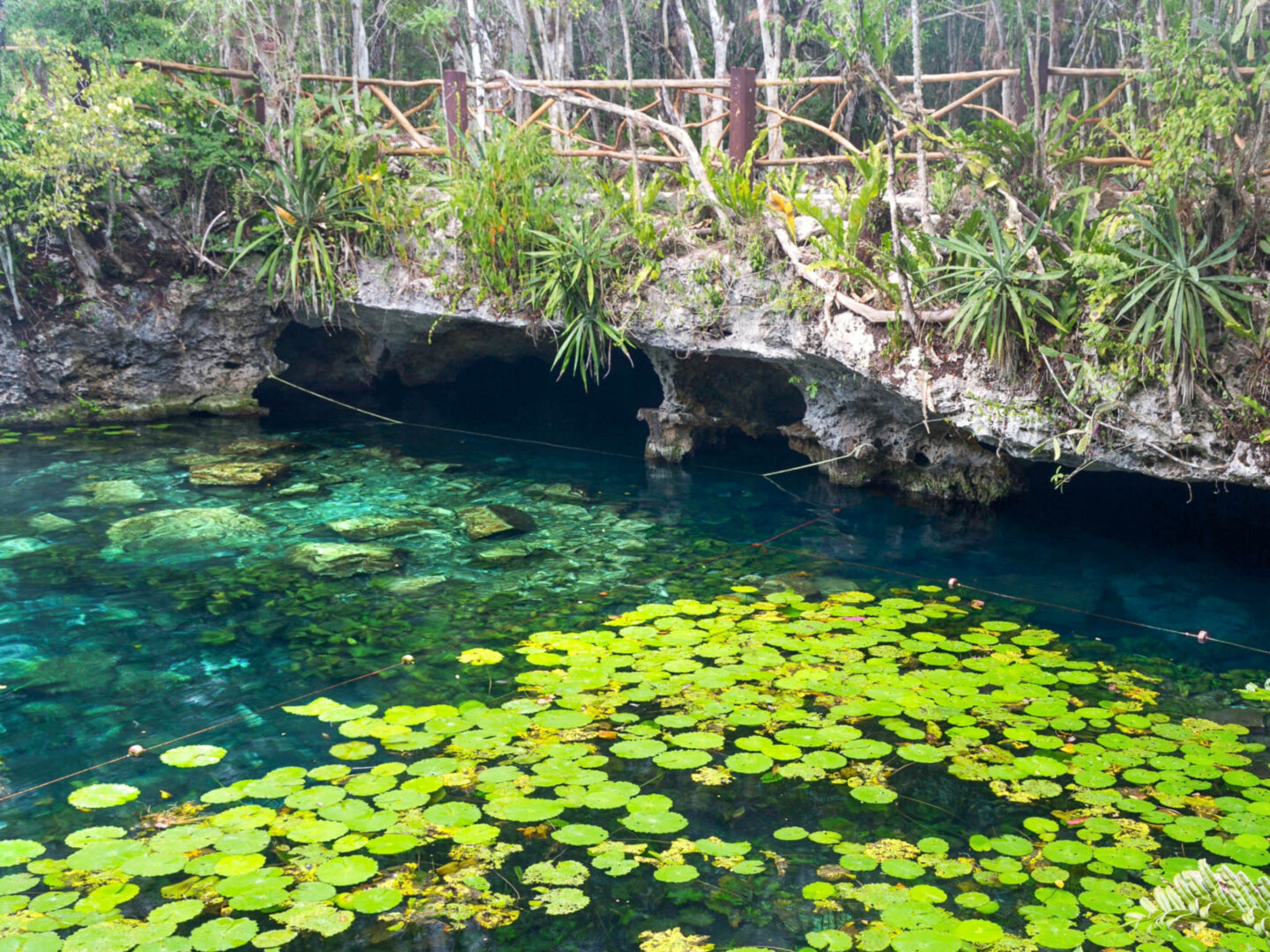 Cenote Nicte Ha Tulum