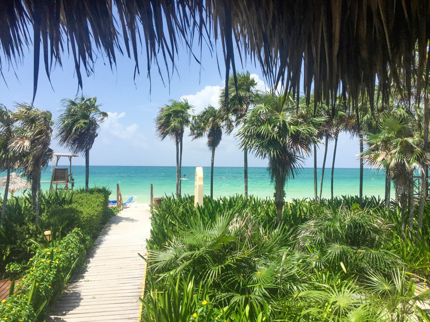 Melia Cayo Coco boardwalk