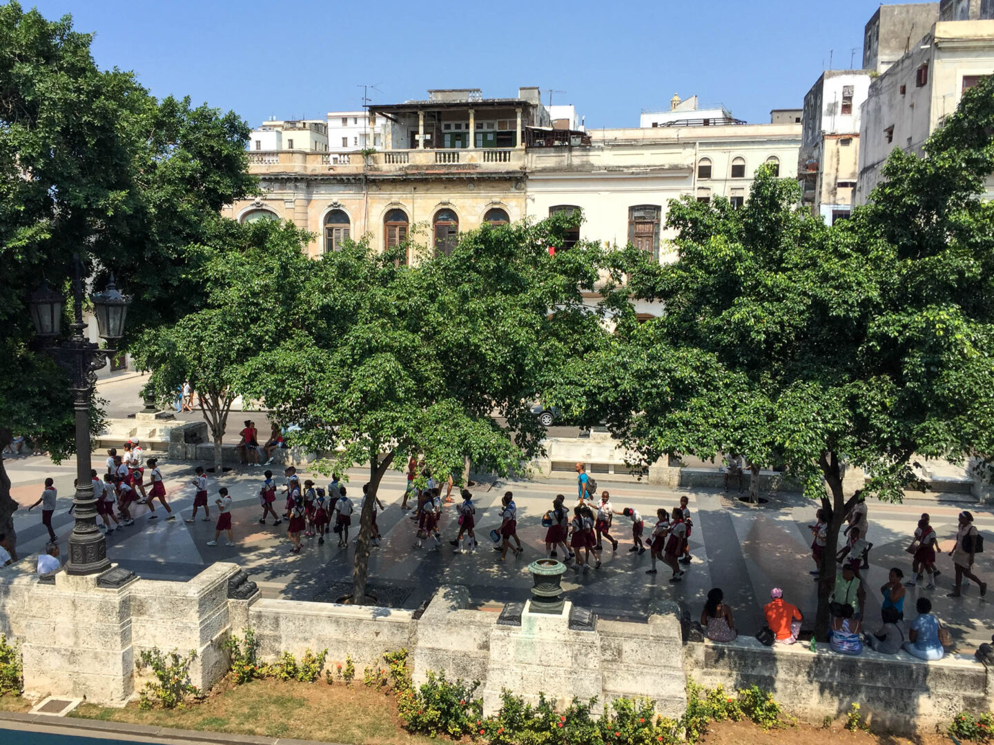 Havana treelined Paseo de Prado