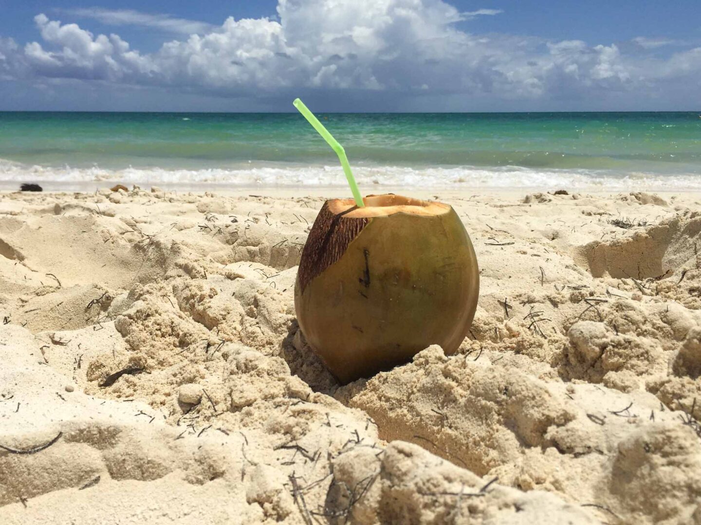 Melia Cayo Coco coconut